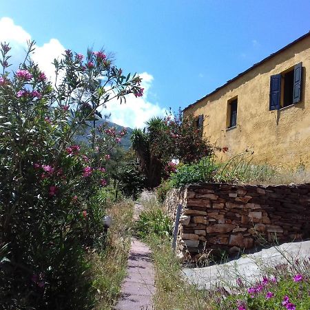 Ikarian Centre - Accommodation & Mountain Hiking Evdilos  Exterior photo
