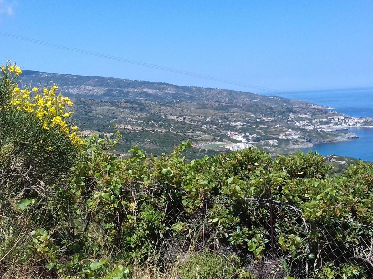 Ikarian Centre - Accommodation & Mountain Hiking Evdilos  Exterior photo