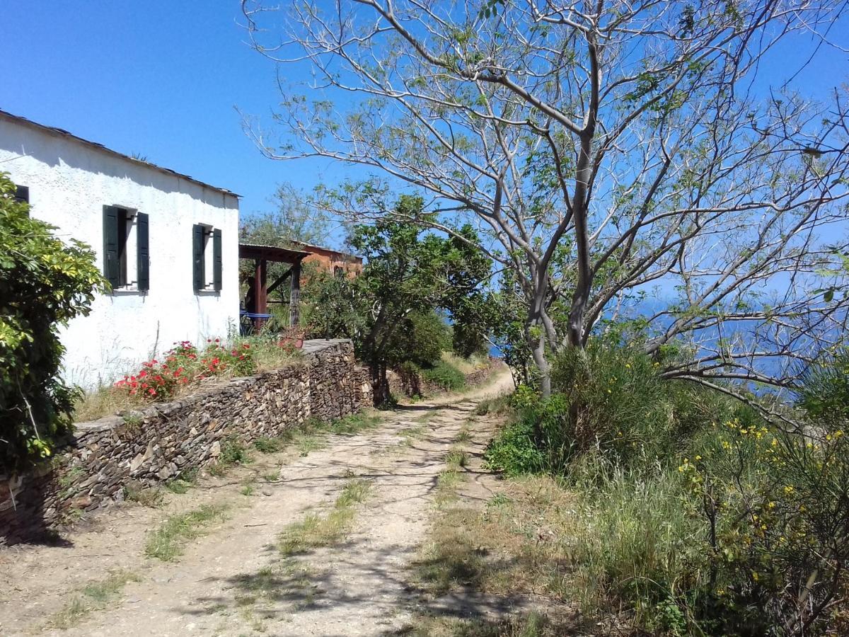 Ikarian Centre - Accommodation & Mountain Hiking Evdilos  Exterior photo