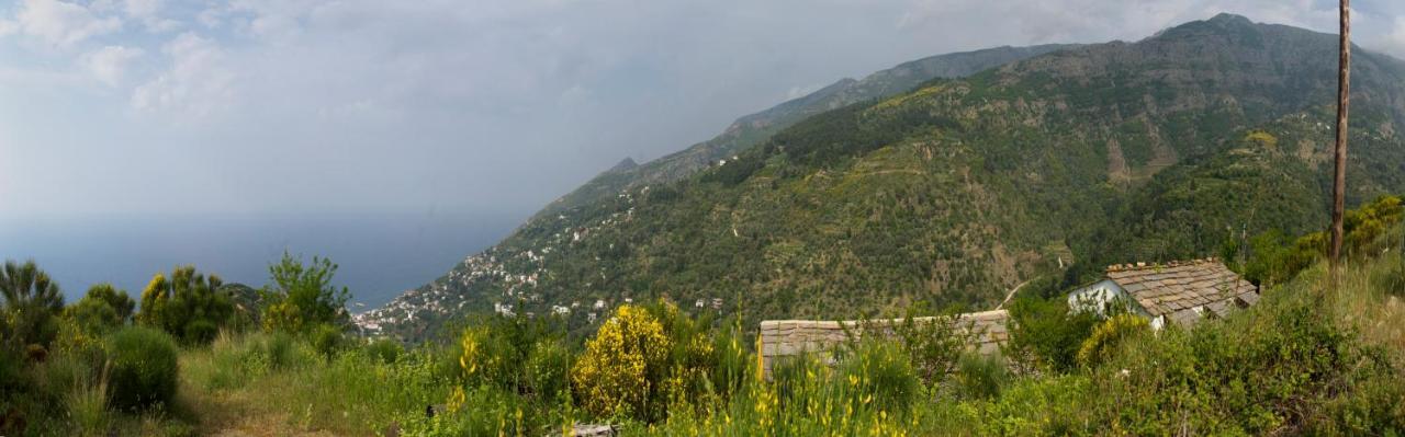 Ikarian Centre - Accommodation & Mountain Hiking Evdilos  Exterior photo